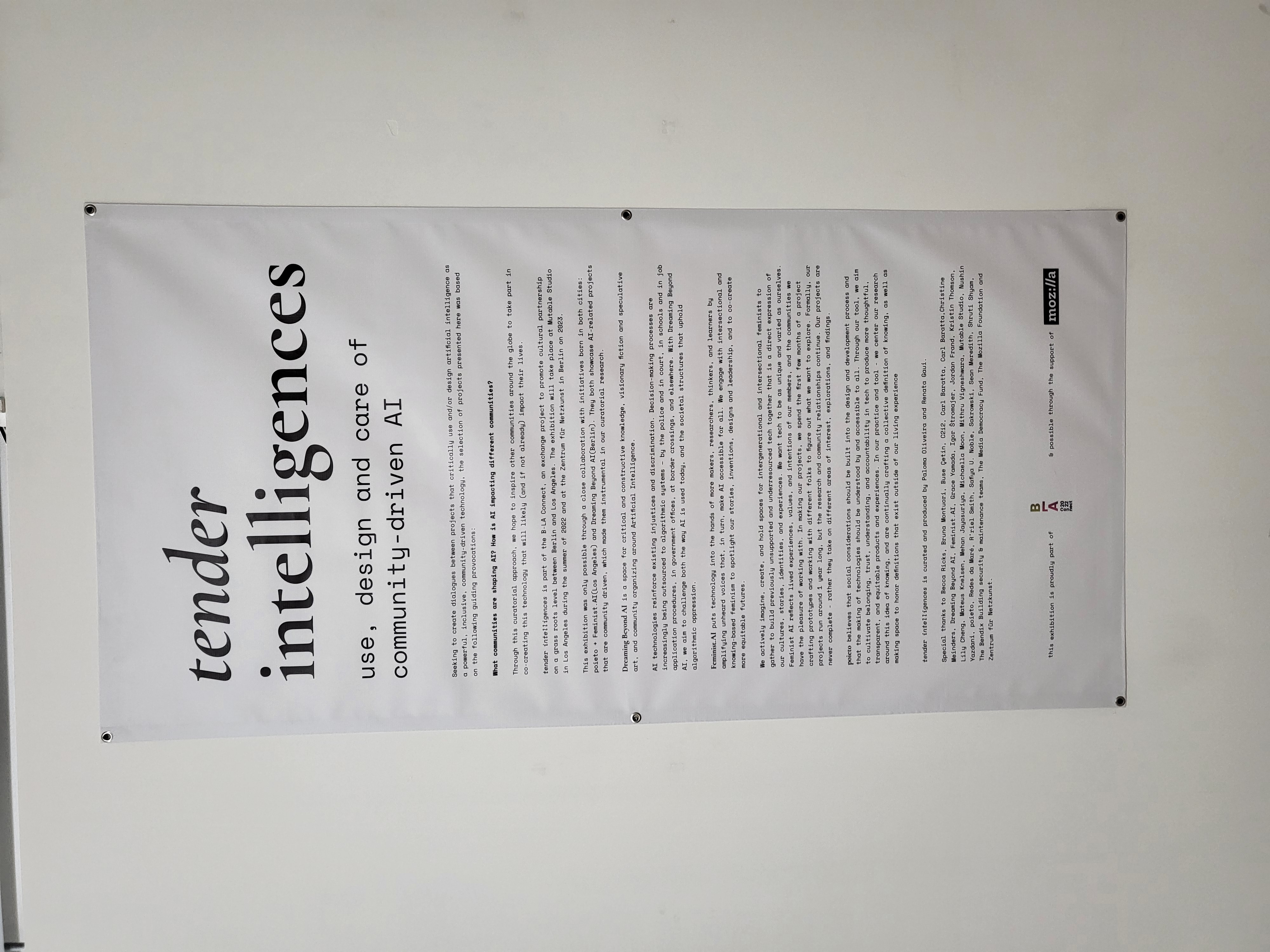 Tender Intelligences exhibition poster